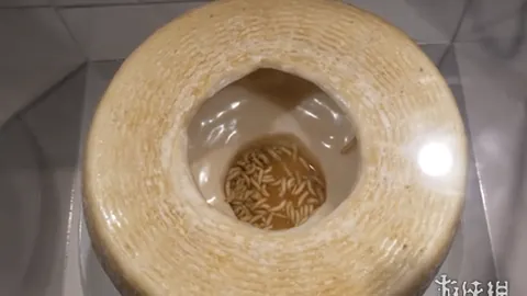 《辐射》真人剧惊喜联动：《辐射76》解锁NCR动力装甲，尊享体验需额外投资30美元！