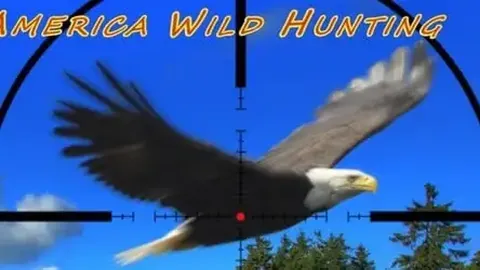 2026年世界杯门票购买指南 资讯 084207 ndf